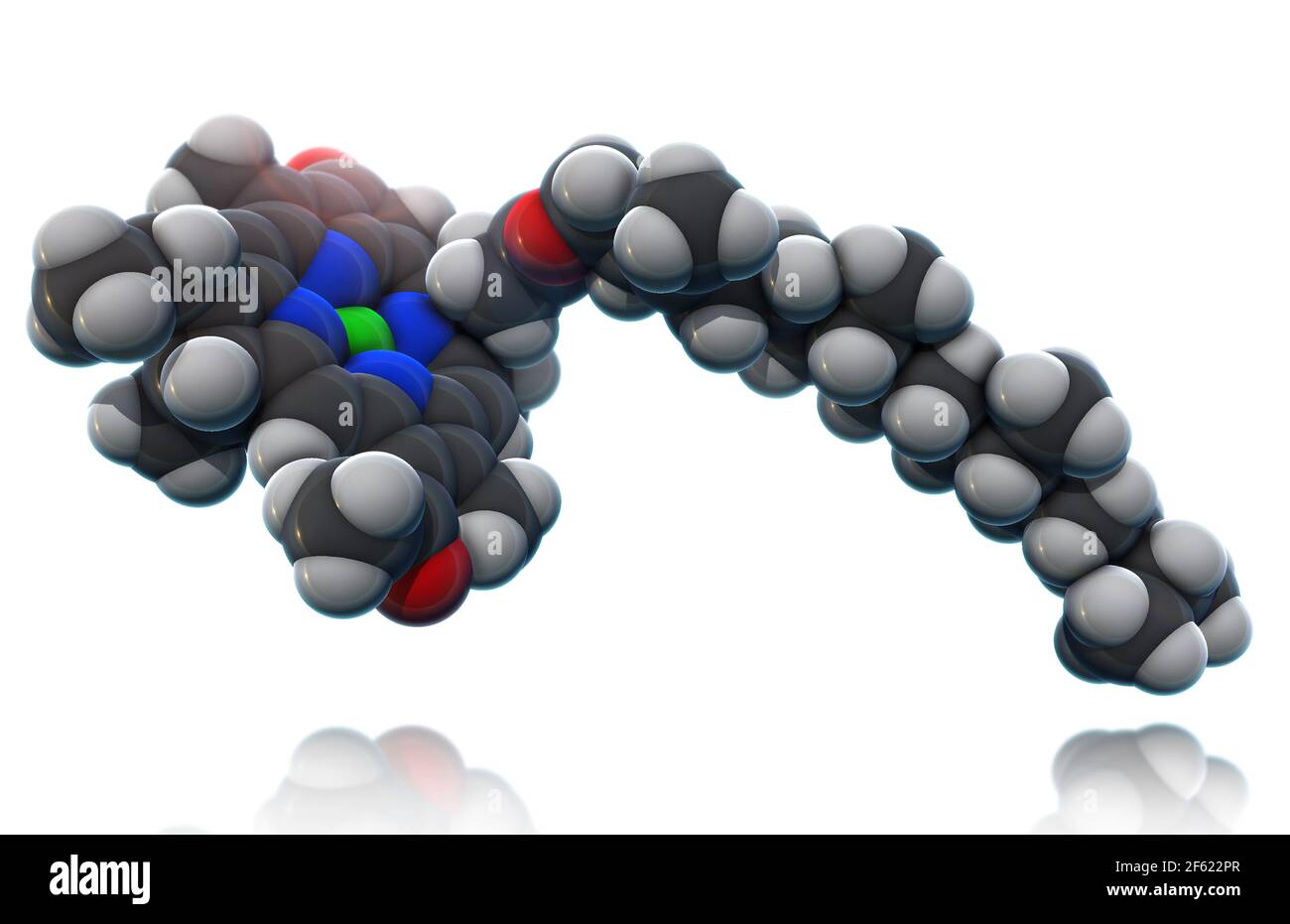 Chlorophyll, Molekulares Modell Stockfoto