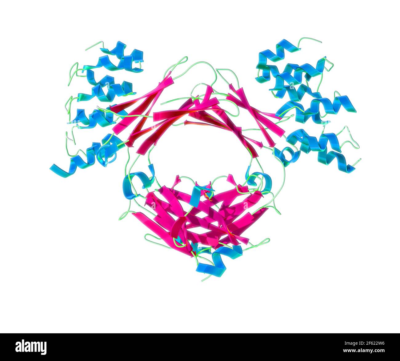 Immunglobulin E, Antikörper Stockfoto