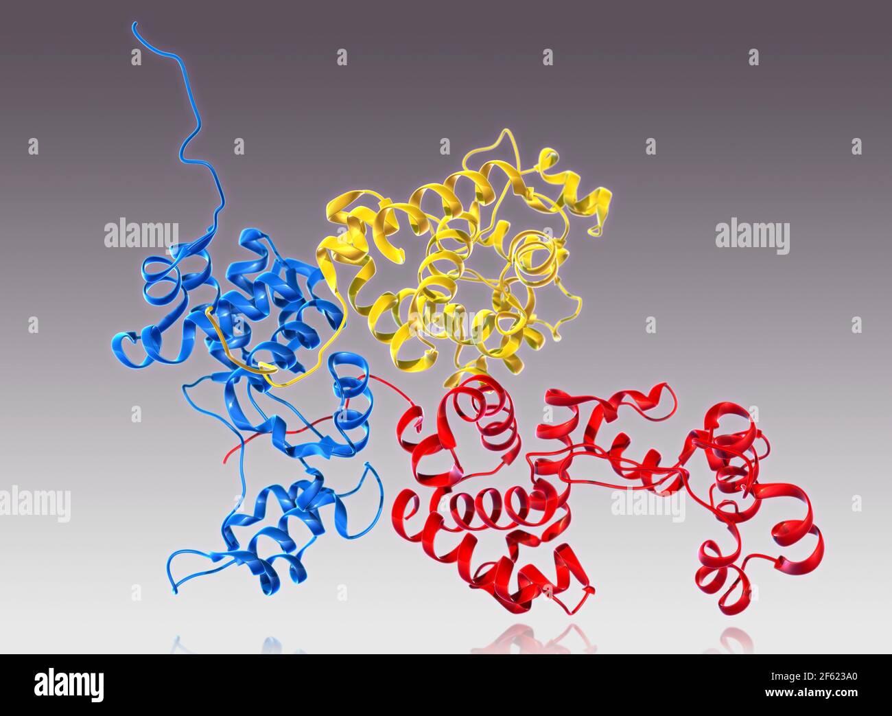Endolysin, Molekulares Modell Stockfoto