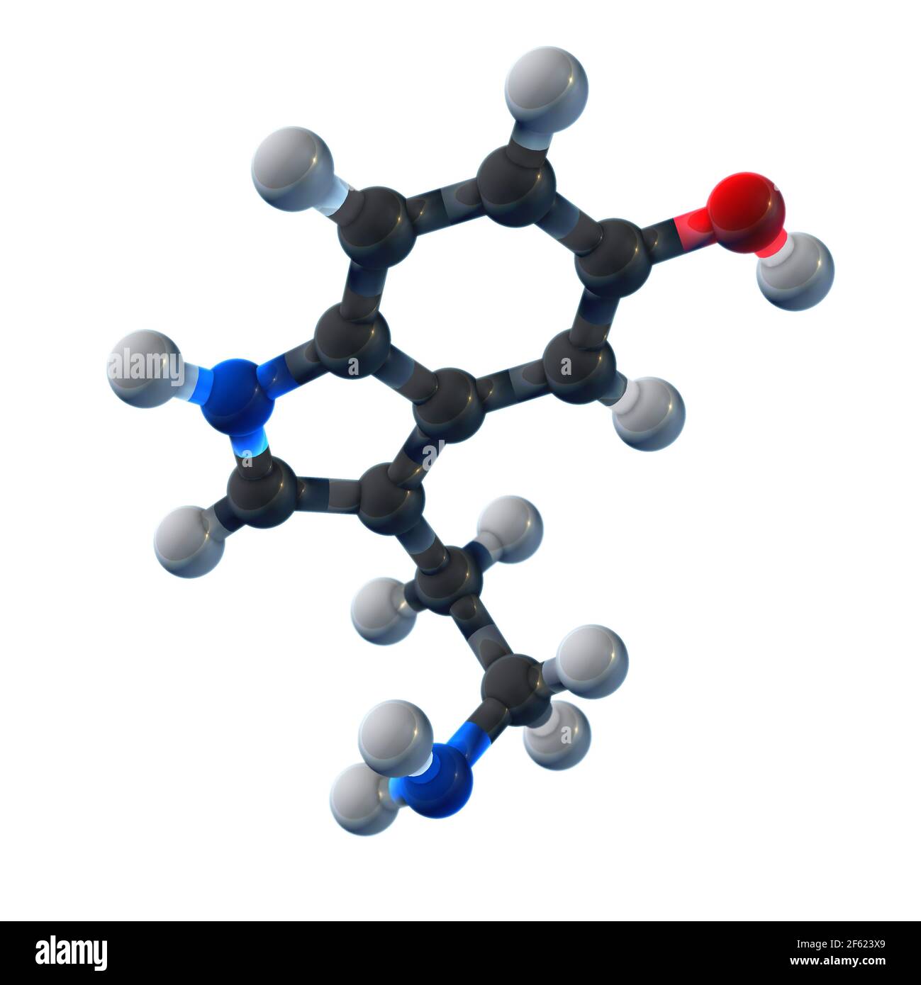 Serotonin, molekulares Modell Stockfoto