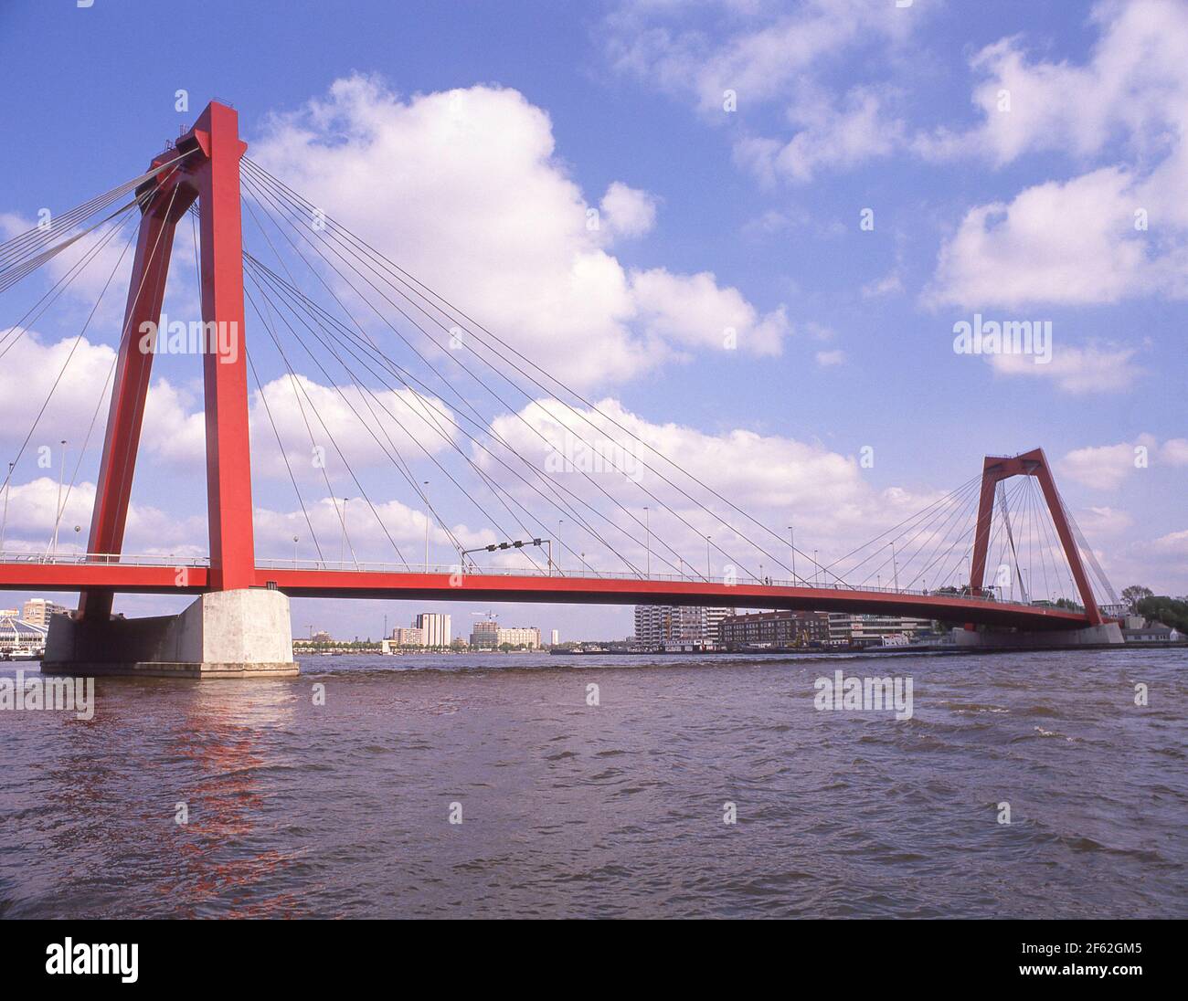 Willemsbrug Kabelbrücke über die Nieuwe Maas, Feijenoord District, Rotterdam, Südholland (Zuid-Holland), Königreich der Niederlande Stockfoto