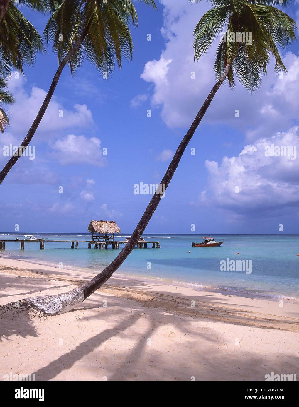 Tropischer Strand, Pigeon Point, Tobago, Trinidad & Tobago, kleine Antillen, Karibik Stockfoto