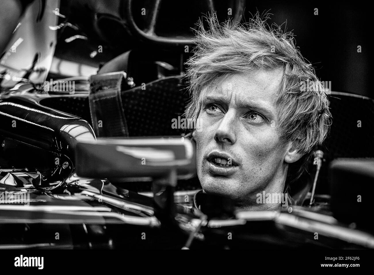 HARTLEY Brendon (nzl) Toro Rosso STR12, Ambiance Portrait während der Formel 1 Weltmeisterschaft 2017, United States of America Grand Prix vom 19. Bis 22. oktober in Austin, Texas, USA - Foto Francois Flamand / DPPI Stockfoto