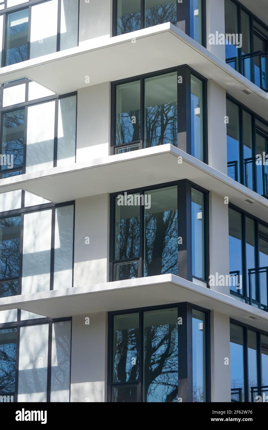 Nackte Äste spiegeln sich in den Glasfenstern eines Schwarz-weißes Hochhaus Stockfoto