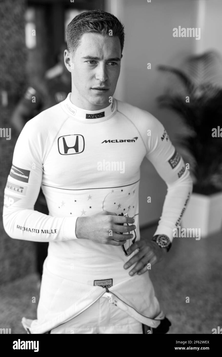 VANDOORNE Stoffel (bel) McLaren Honda MCL32, Porträt während der Formel 1-Weltmeisterschaft 2017, Abu Dhabi Grand Prix vom 23. Bis 26. November in Yas Marina - Foto Florent Gooden / DPPI Stockfoto