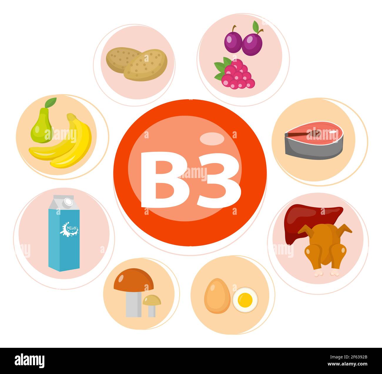 Vitamine und Mineralien Lebensmittel .Vektor-Satz von vitaminreichen Lebensmitteln. Vitamin B3 Fleisch, Spinat, Geflügel, Fisch, Leber, Pilze, Kartoffeln und Erdnüsse. Stock Vektor