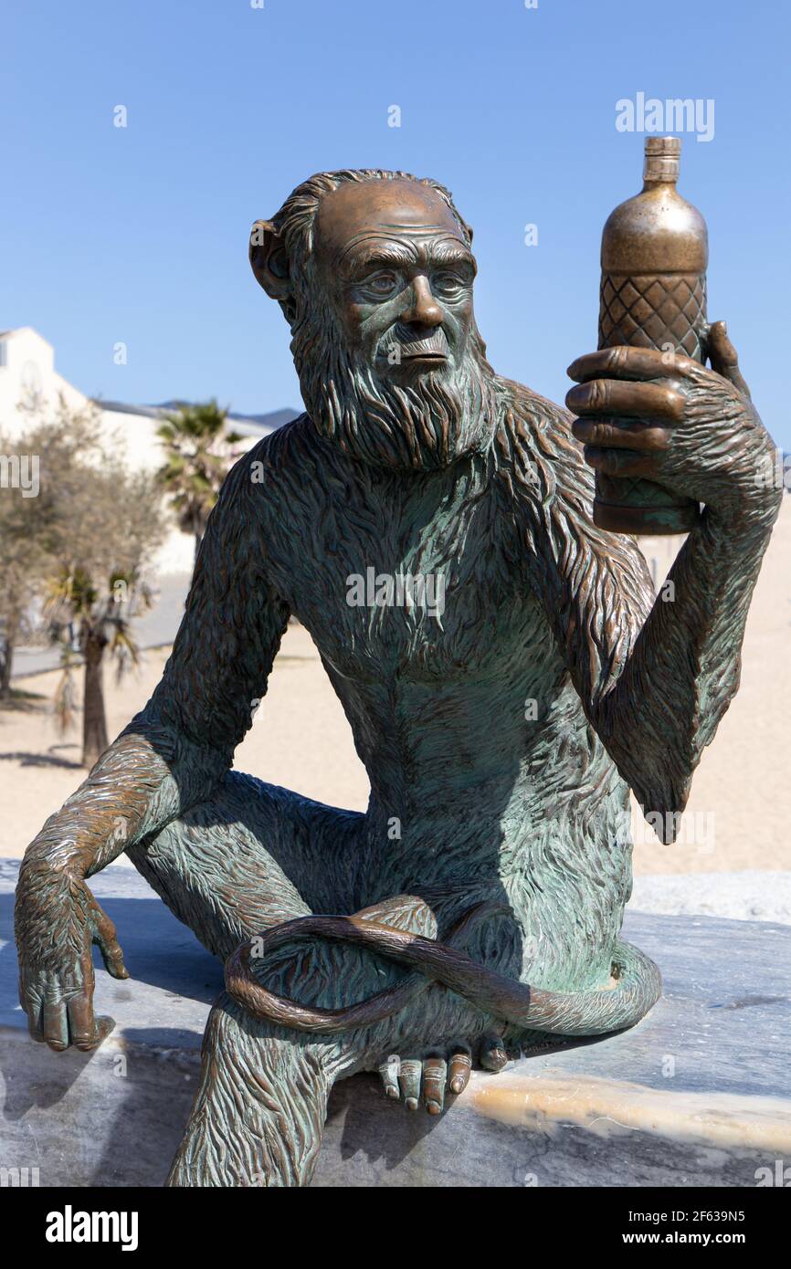 BADALONA, SPANIEN-29. MÄRZ 2021: Affenstatue an der Strandpromenade von Badalona von Susana Ruiz Blanch. Der Affe hat das Gesicht von Charles Darwin, und sie ho Stockfoto