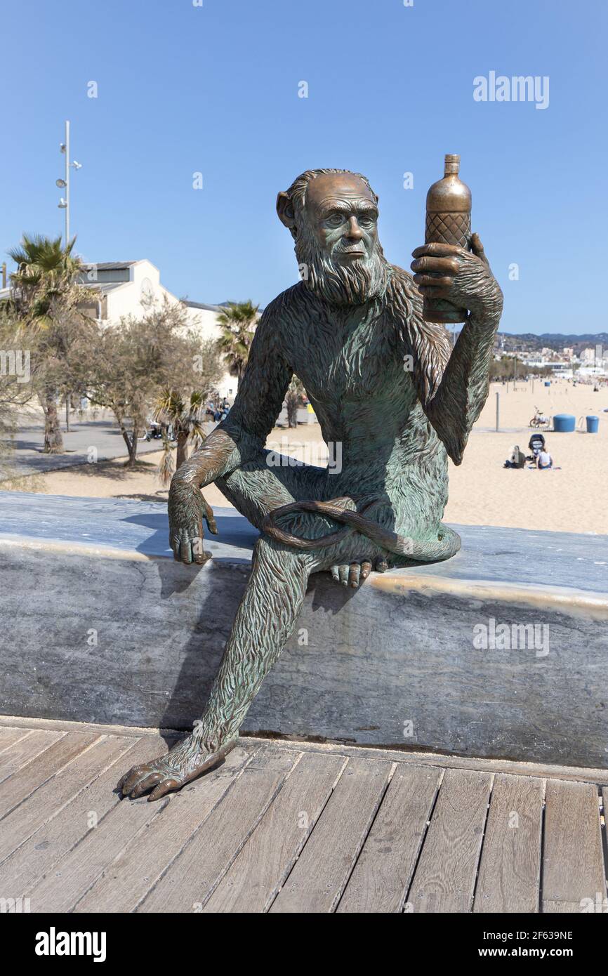 BADALONA, SPANIEN-29. MÄRZ 2021: Affenstatue an der Strandpromenade von Badalona von Susana Ruiz Blanch. Der Affe hat das Gesicht von Charles Darwin, und sie ho Stockfoto