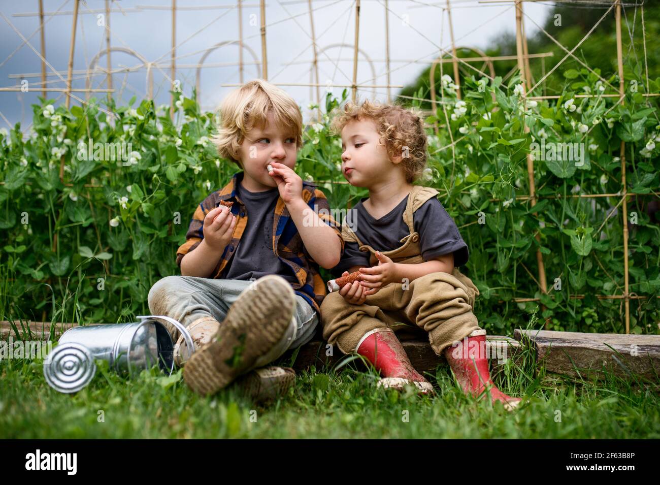 Portrait von zwei kleinen Kindern im Gemüsegarten, nachhaltiger Lebensstil. Stockfoto