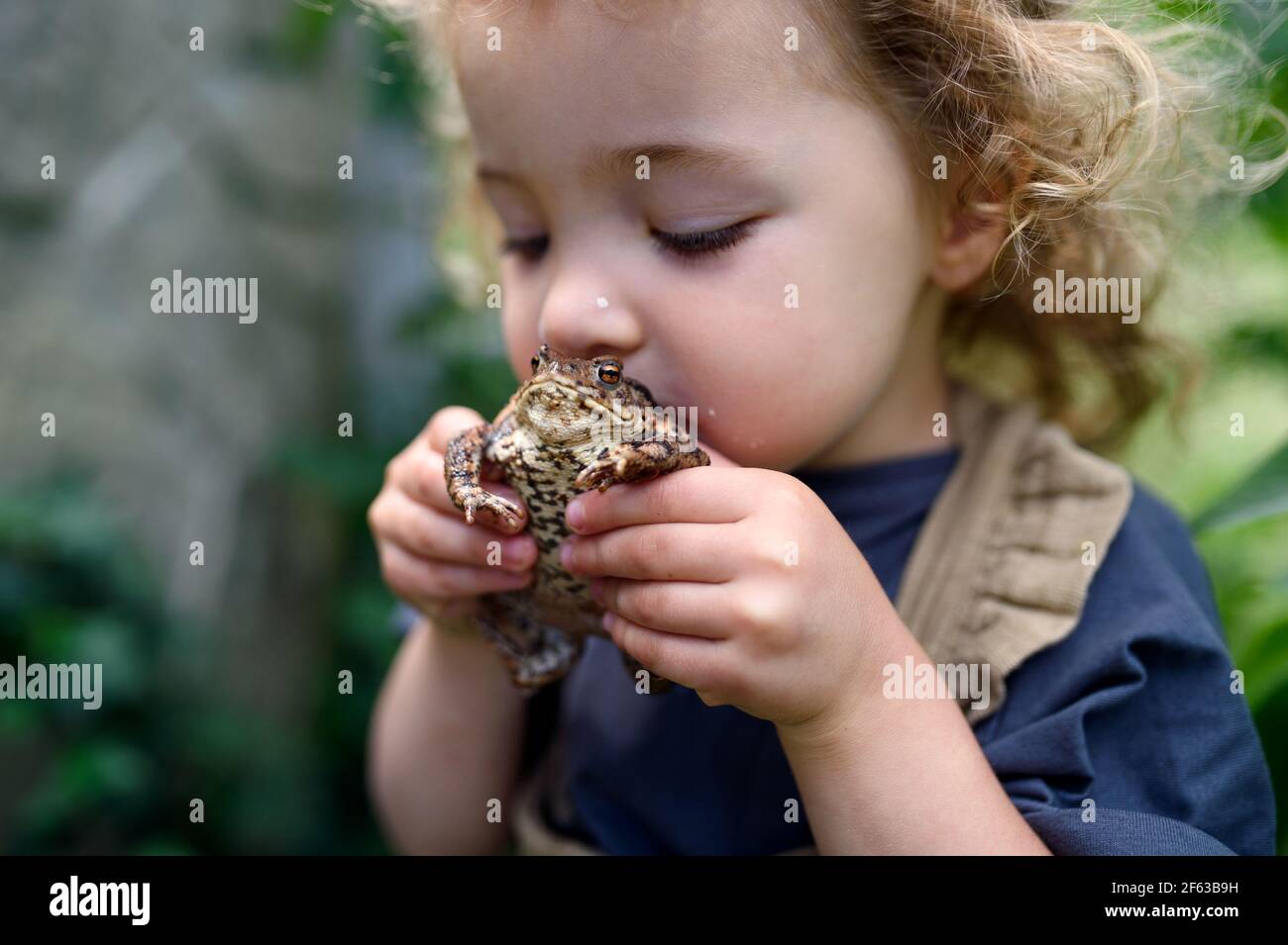 Nahaufnahme Porträt von kleinen Mädchen hält einen Frosch im Freien im Sommer, küssen es. Stockfoto