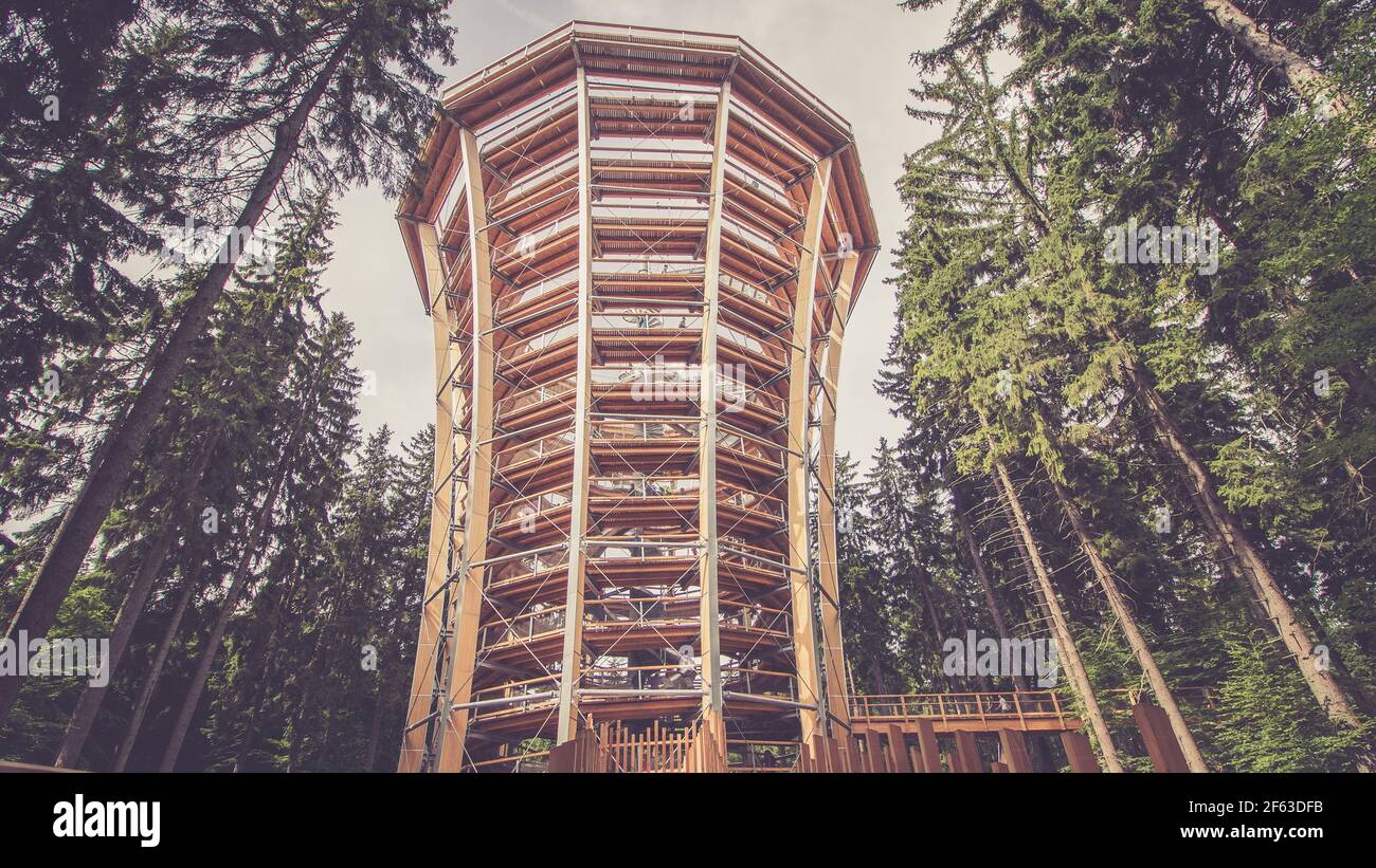 Großer hölzerner Aussichtsturm in modernem Design, im Wald. Getöntes Bild Stockfoto