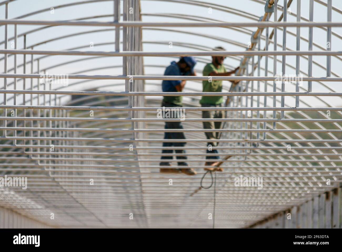 Arbeitnehmer, die im Gewächshausbau arbeiten und keine Sicherheitsmaßnahmen in der Türkei ergreifen Stockfoto