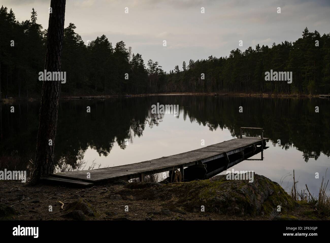 See, Brücke und Wald am Frühlingsabend in Katrineholm Schweden. Schöne skandinavische Natur und Landschaft. Ruhiges, friedliches Foto. Stockfoto