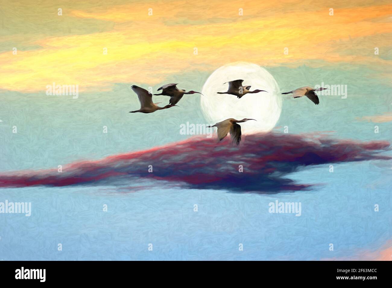 Eine Vogelschar fliegt am Mond vorbei Sonnenuntergang Stockfoto