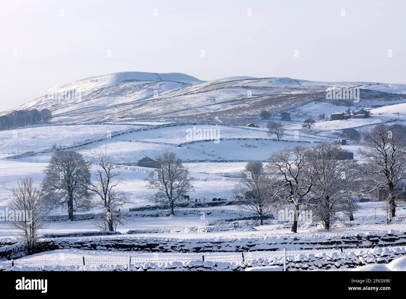 Schneebedeckte Hügel, Hawes, Wensleydale, Yorkshire Dales National Park Stockfoto