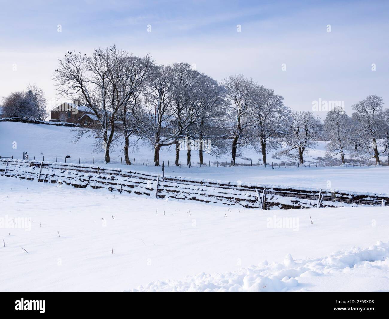 Winter in Hawes, Wensleydale, Yorkshire Dales National Park Stockfoto