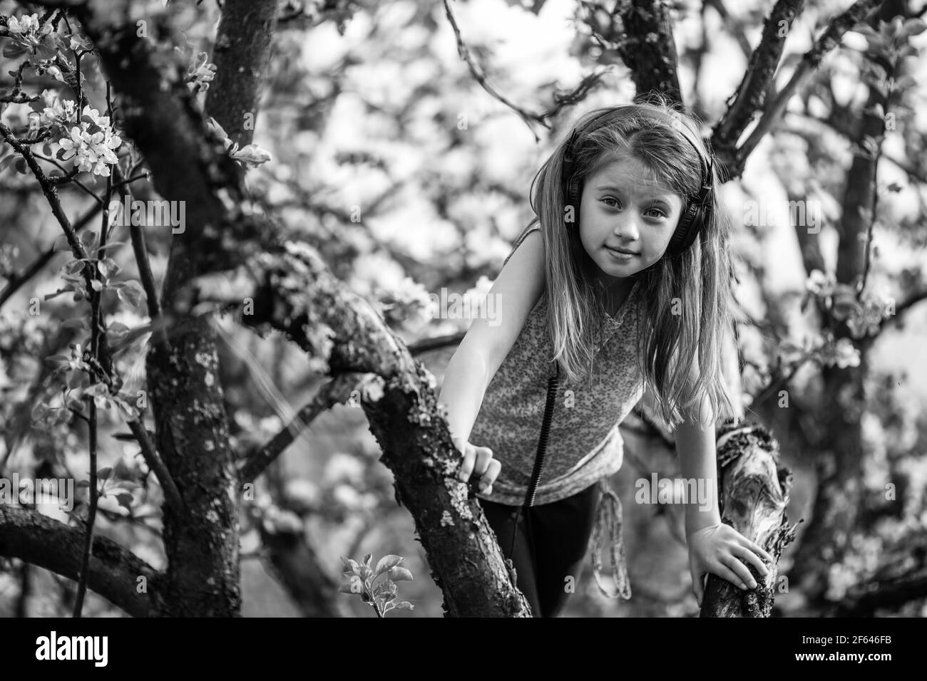 Kleines Mädchen mit in den Zweigen eines blühenden Apfelbaums. Schwarzweiß-Foto. Stockfoto