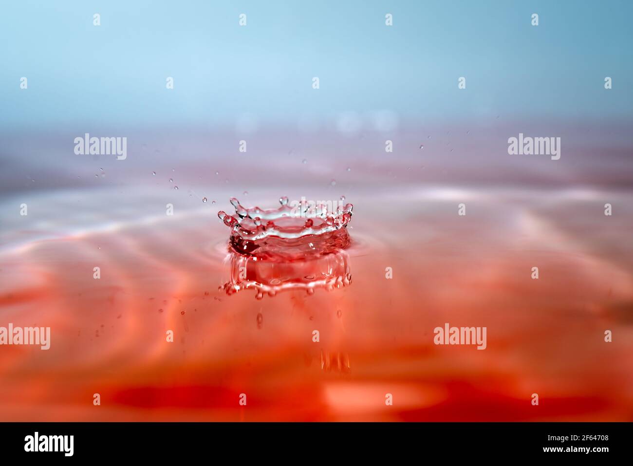 Moment der Kollision von Wassertropfen auf rosa Hintergrund. Abstrakter natürlicher Hintergrund Stockfoto