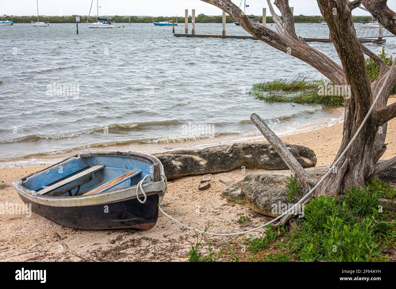 Altes Ruderboot an einem verwitterten Baum entlang der Küste von Salt Run auf Anastasia Island in St. Augustine, Florida gebunden. (USA) Stockfoto