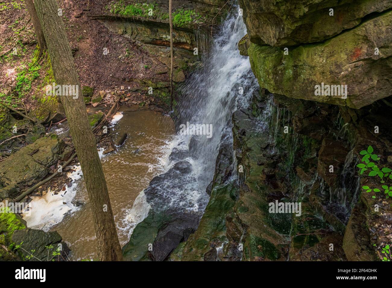 Louth Wasserfälle und Wanderweg Lincoln Ontario Kanada im Sommer Stockfoto