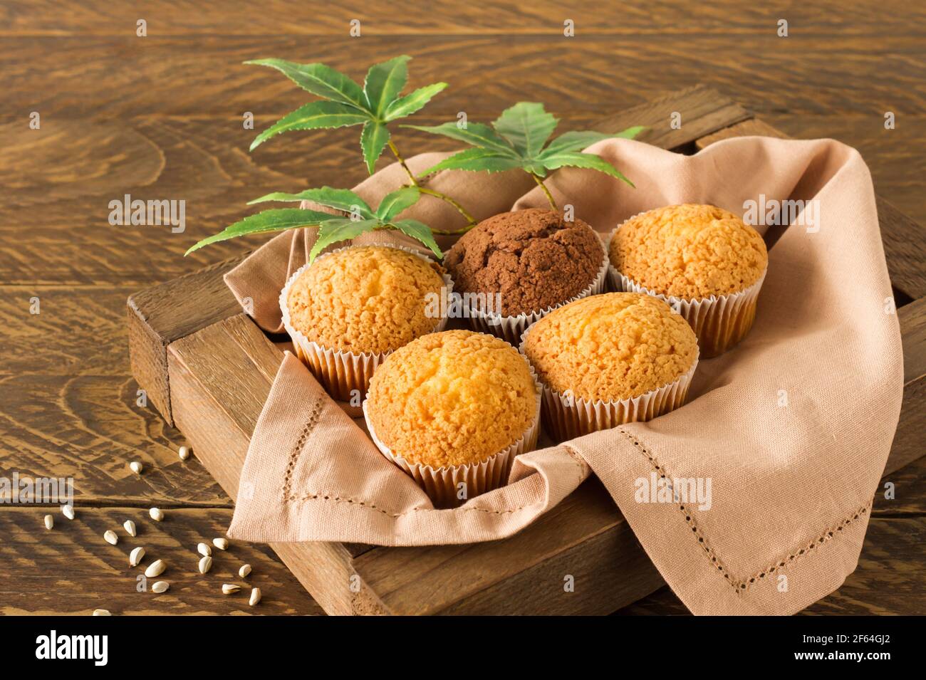 Marihuana Cupcake Muffins und Cannabisblätter auf einem weißen Teller. Hausgemachte Speisen. Horizontale Ausrichtung. Blick von oben Stockfoto