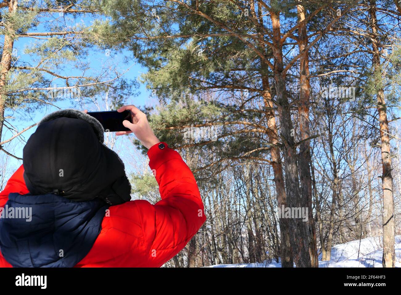 Mensch und Natur. Ein junger Mann im Winter in hellen Kleidern macht Fotos in der Natur. Nadelwald und blauer Himmel Stockfoto