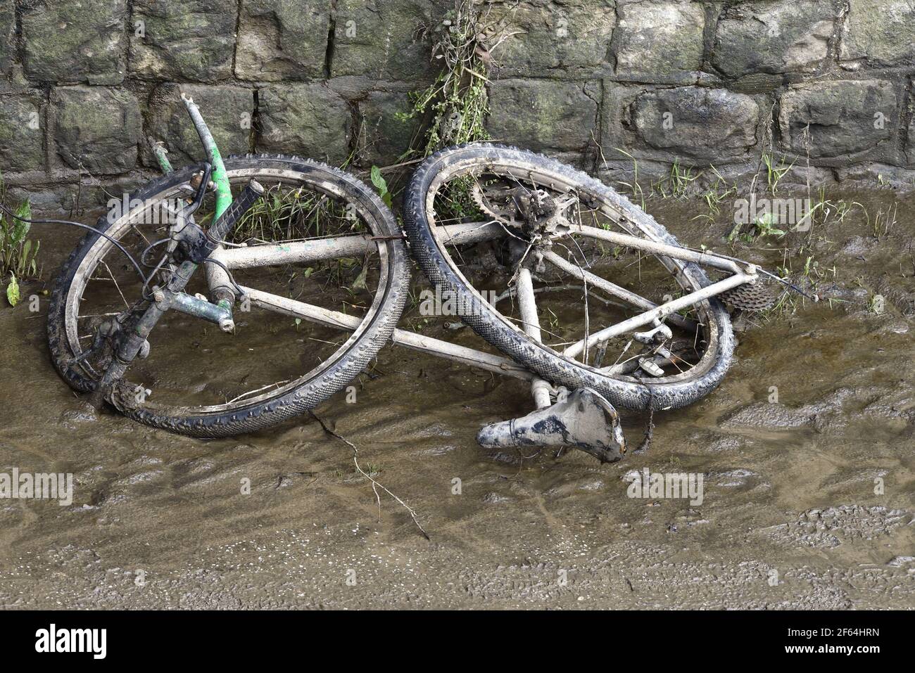 Maidstone, Kent, Großbritannien. Altes gebrochenes Fahrrad auf dem Weg durch den überfluteten Fluss Medway hinterlegt Stockfoto