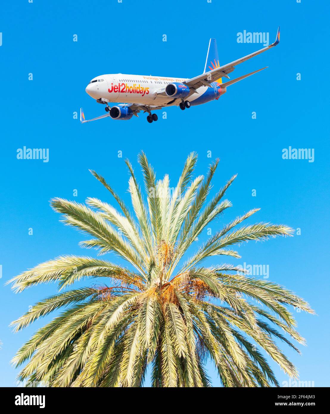 Jet 2, Jet2.com Flugzeuge, Flugzeug, über Palmen in Spanien Stockfoto