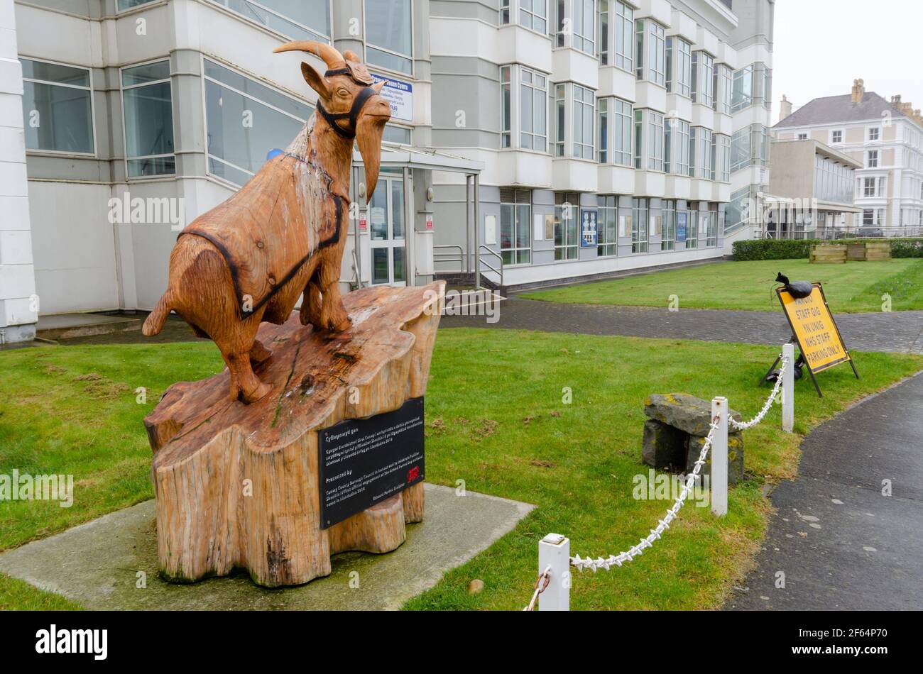 Llandudno, Großbritannien: 18. März 2021: Eine Holzskulptur von Fusilier Shenkin IV., Ziegenmaskottchen des Bataillons 3rd, feiert der Royal Welsh seinen ersten Beamten Stockfoto