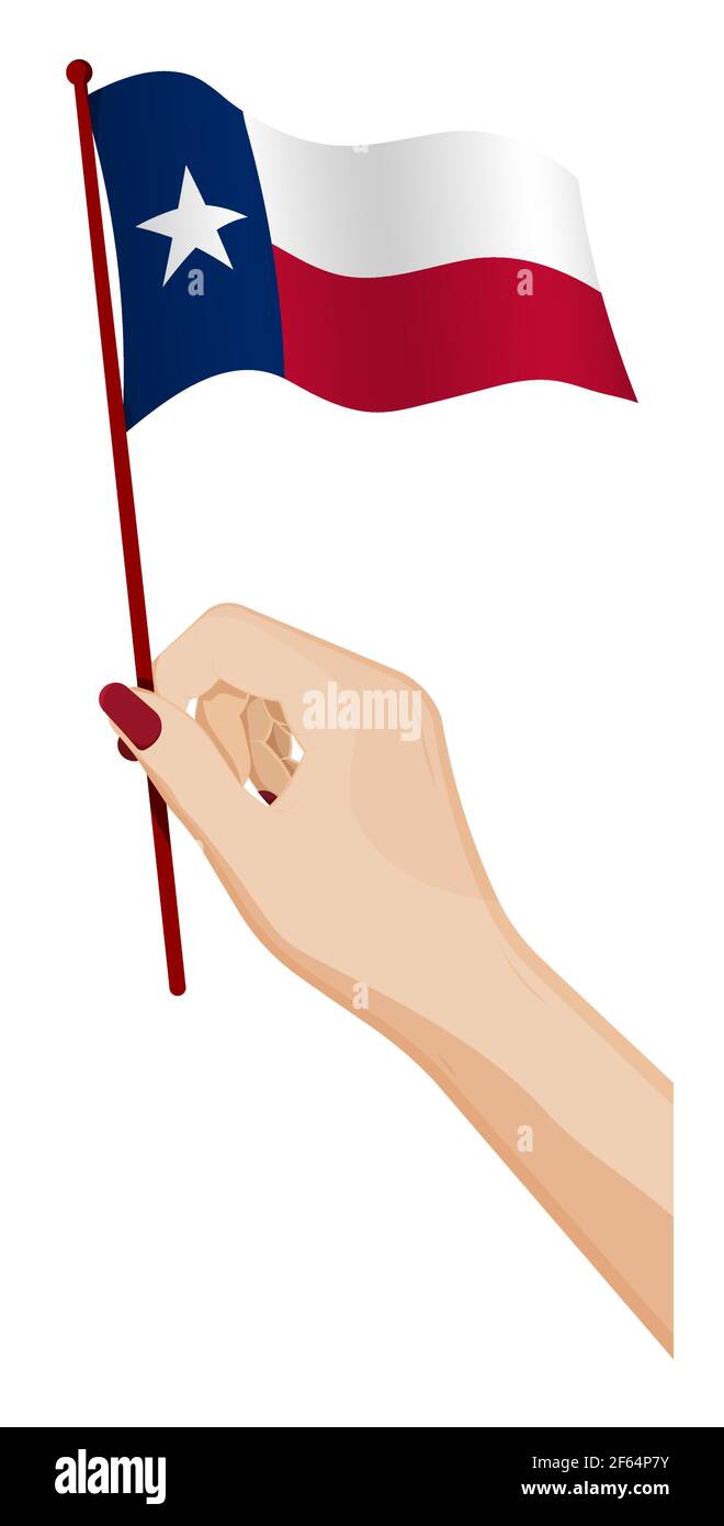 Weibliche Hand hält sanft kleine Flagge des amerikanischen Staates Texas. Design-Element Urlaub. Cartoon-Vektor auf weißem Hintergrund Stock Vektor