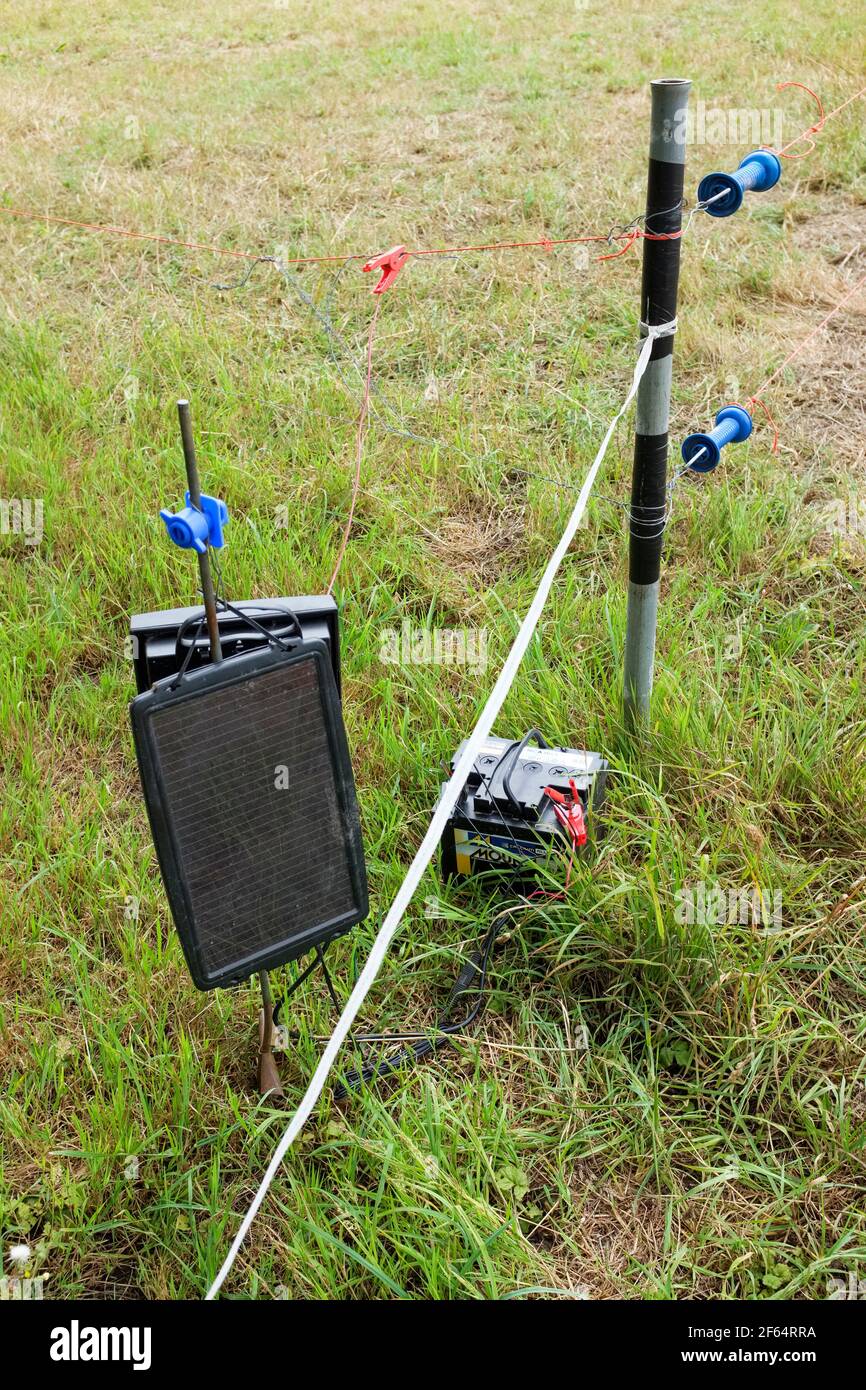 Solarbetriebene elektrische Zäune. Solarstrom-Erhaltungsladung speist eine 12 V-Batterie. Umweltfreundliche Stromversorgung eines elektrischen Zauns. Solarenergiespender. Stockfoto