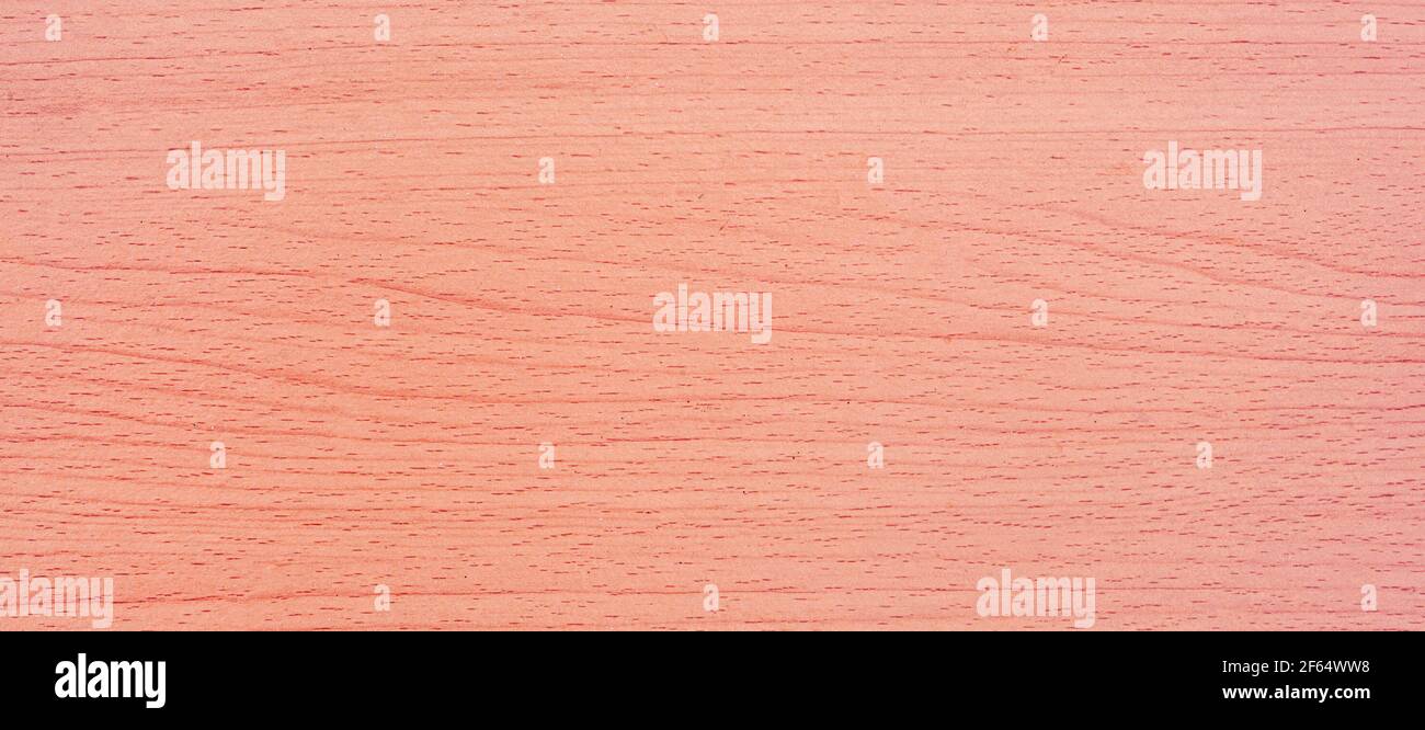 Panorama-cremefarbenen Holzboden verwendet, um Hintergründe für Ihre Entwürfe zu machen, um gut und schön zu sein. Natürliche Materialien mit einzigartigen Mustern und Vielseitigkeit. Stockfoto