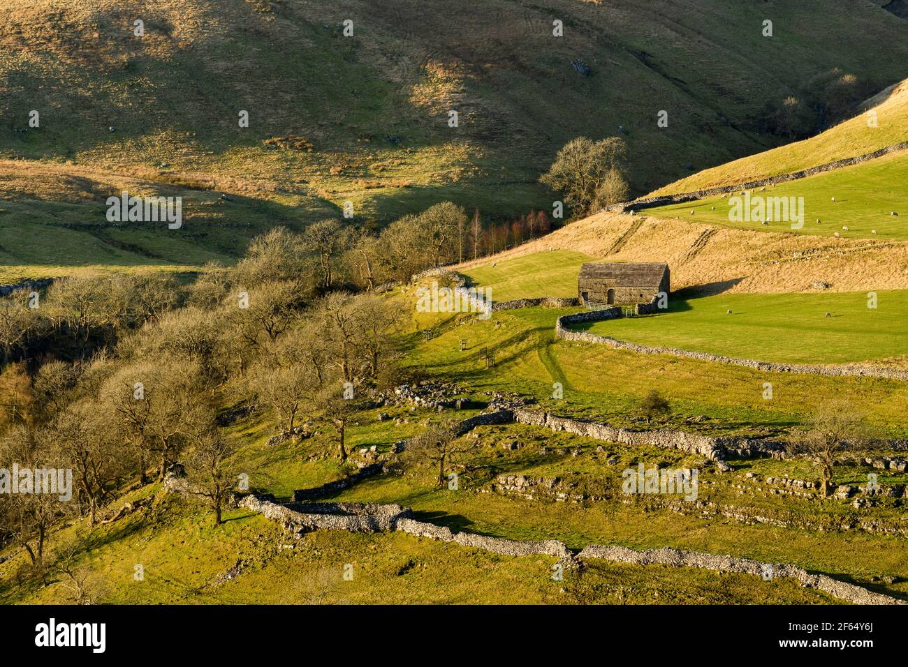 Malerische sonnige Wharfedale-Landschaft (Hochlandfjälle, Steinscheune, steile Hügel, Kalksteinwände, Schafe weiden Weiden) - Yorkshire Dales, England, Großbritannien. Stockfoto
