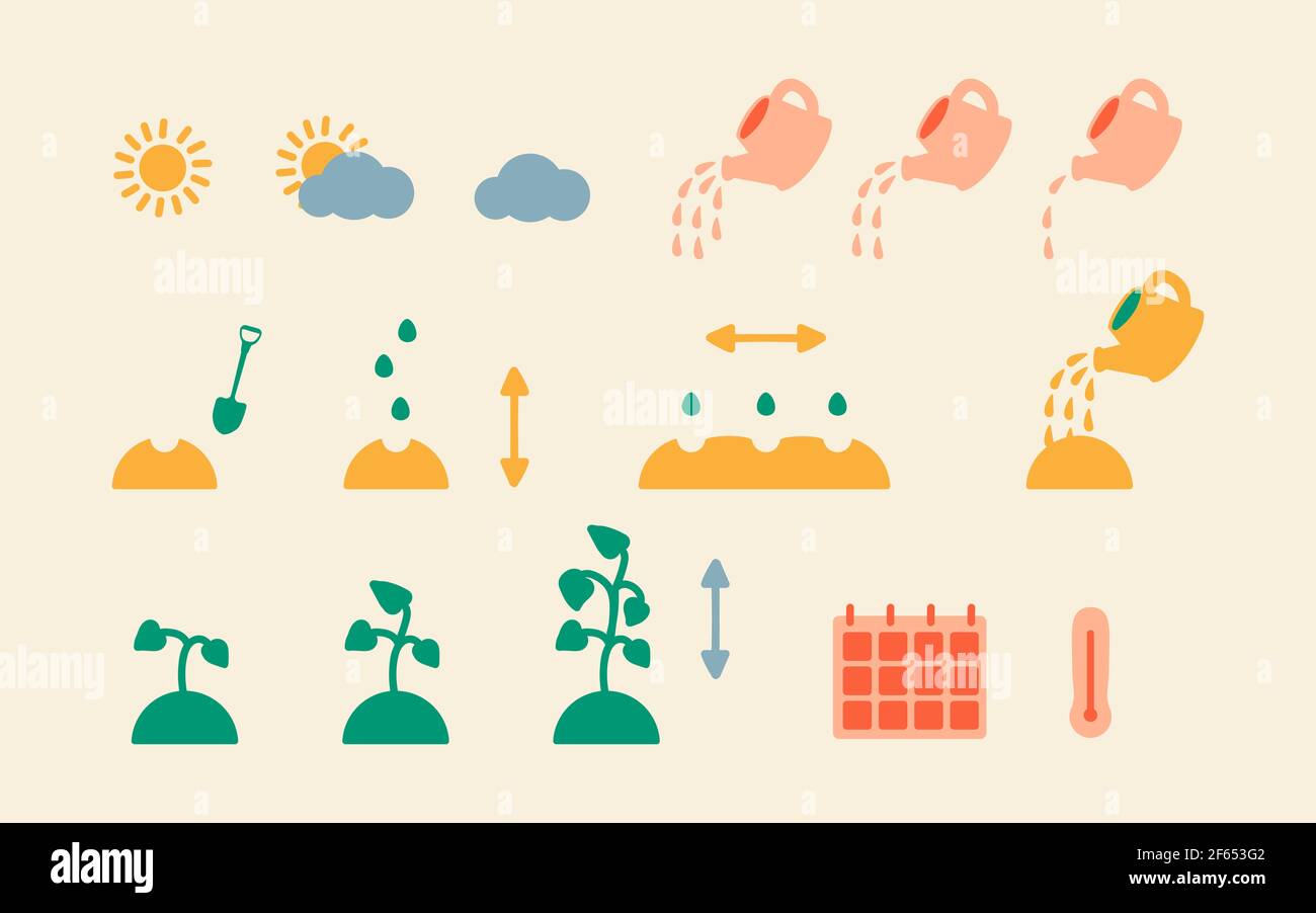 Schritt-für-Schritt-Anleitung zum Pflanzen von Pflanzen und Blumensamen. Vektor-Symbole der Pflanzung und Samenwachstum Prozess, Bewässerungsrate, Temperatur und planti Stock Vektor