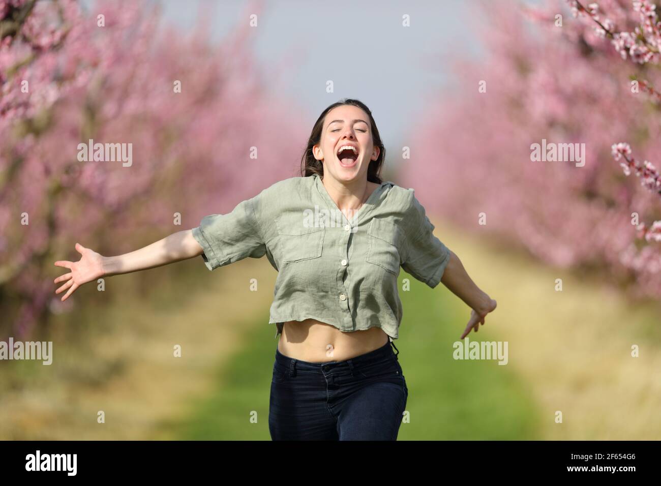Vorderansicht einer glücklichen Frau, die zur Kamera läuft und feiert Urlaub in einem rosa blühenden Feld im Frühjahr Stockfoto