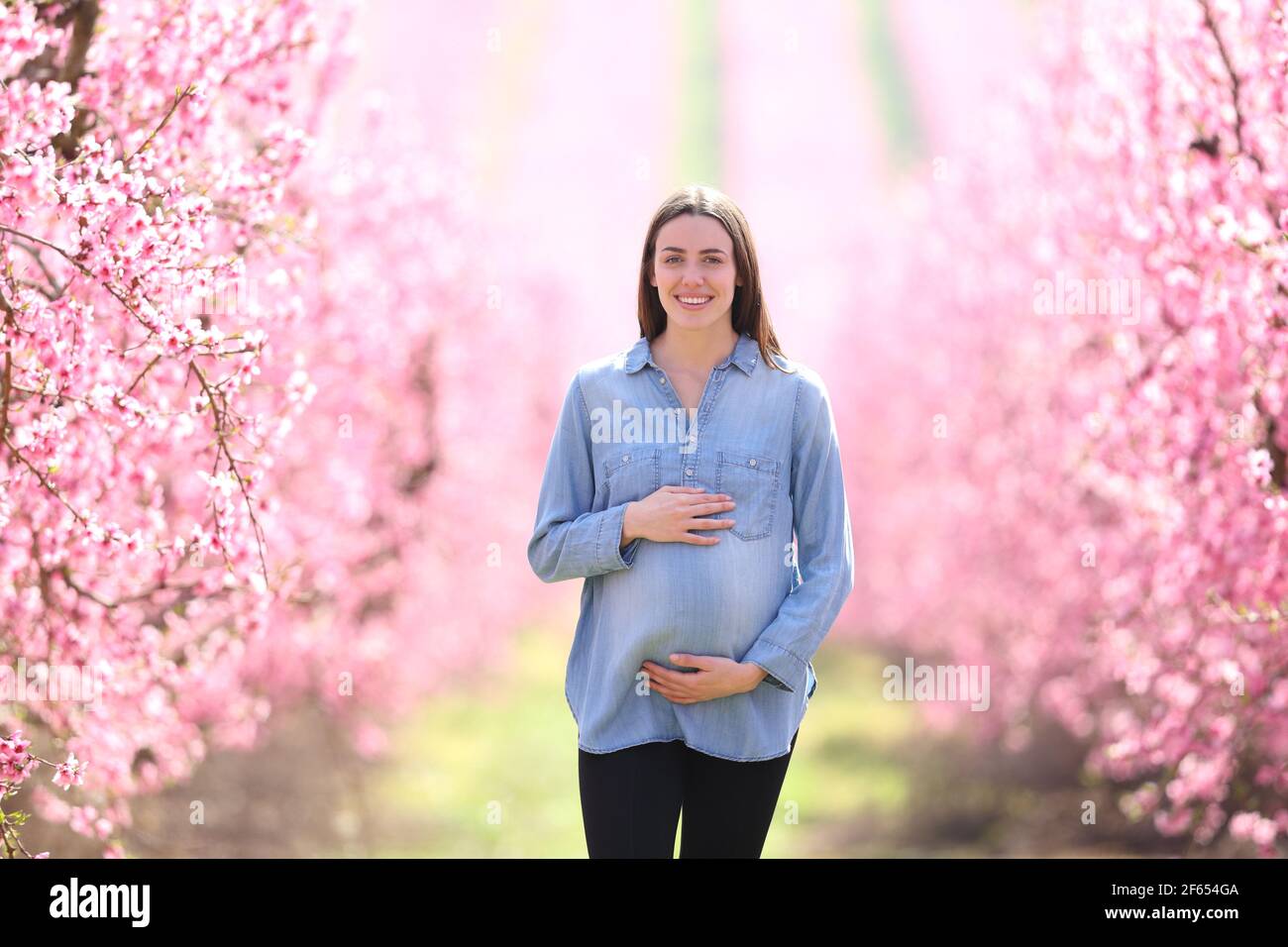 Schwangere Frau, die in einem rosa blühenden Feld auf die Kamera zugeht Sie im Frühling betrachten Stockfoto
