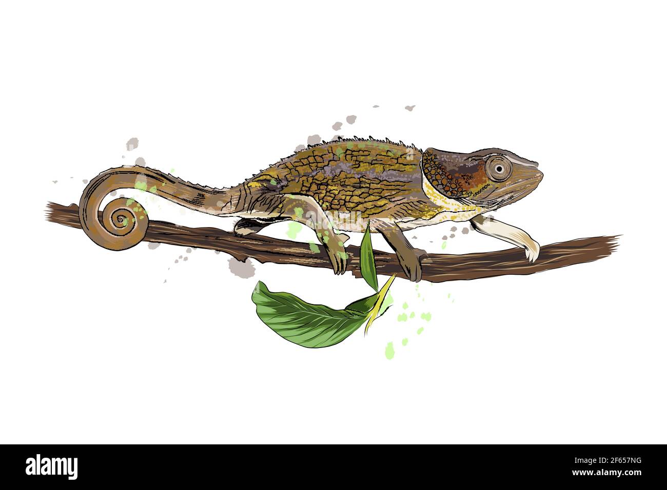 Chamäleon aus einem Spritzer Aquarell, farbige Zeichnung, realistisch. Vektordarstellung von Farben Stock Vektor