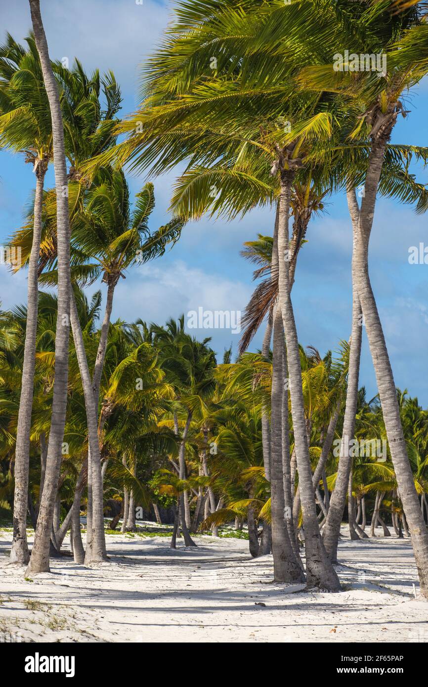 Dominikanische Republik, Punta Cana, Punta Cana Strand Stockfoto