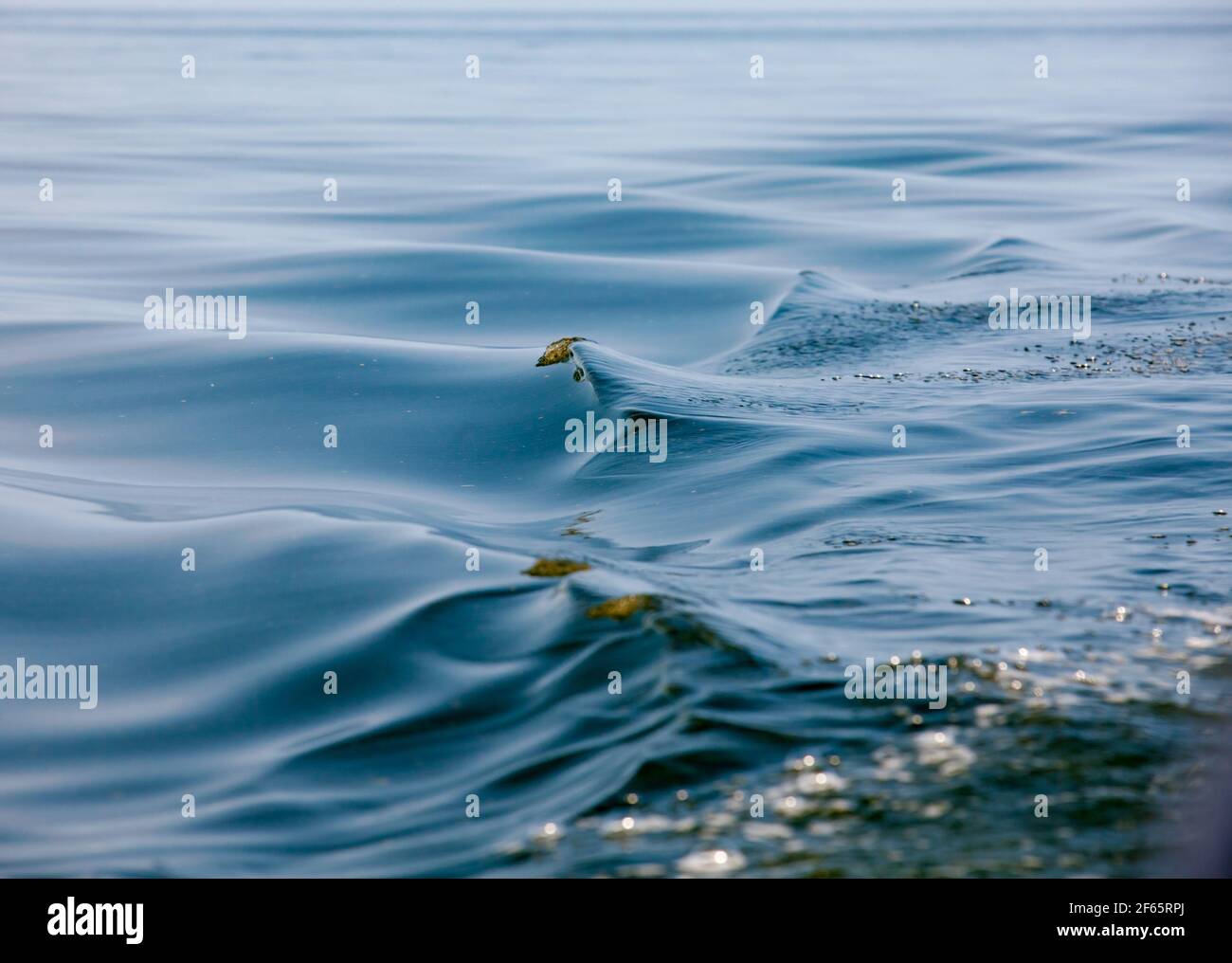 Meereswasserwelle. Abstrakter Fotohintergrund. Ostsee, Estland, Insel Saaremaa, Naturschutzgebiet Harilaid. Stockfoto