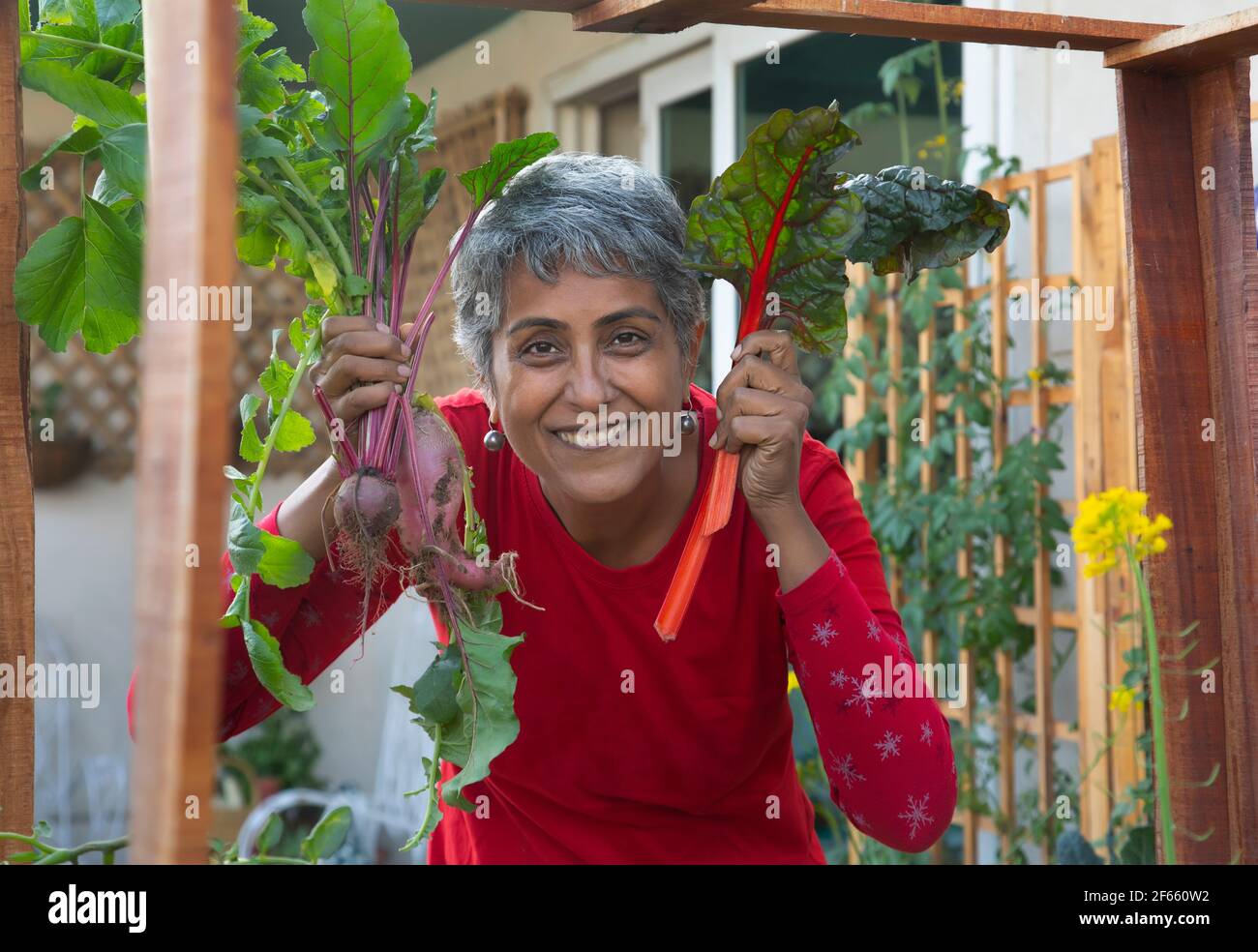 Porträt eines städtischen Bauern mit frischen grünen Salatblättern. Stockfoto