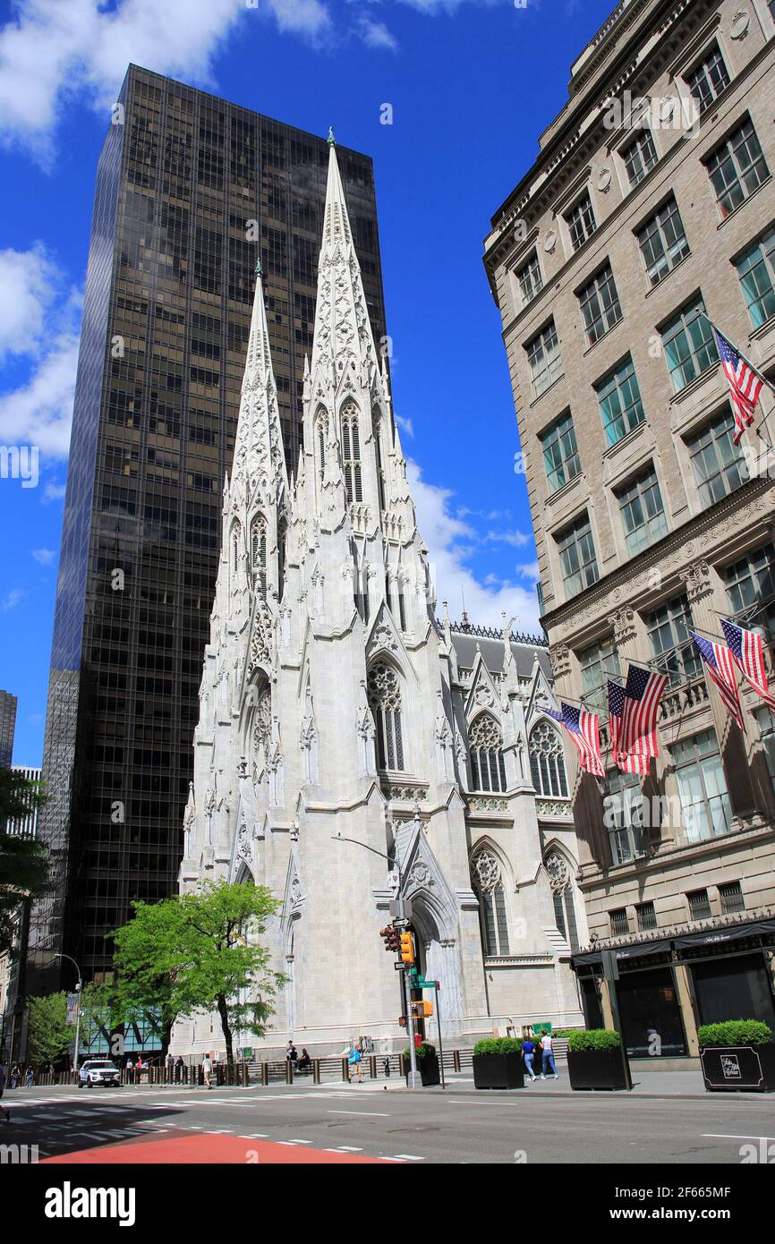 St. Patrick's Cathedral, 5th Avenue, Midtown, Manhattan, New York City, New York, USA Stockfoto