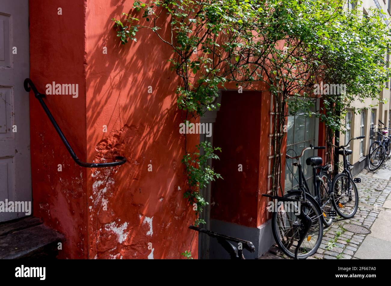 Ein leuchtendes rotes Gebäude in einer gepflasterten Straße in Kopenhagen, Dänemark, mit Fahrrädern, die draußen geparkt sind, und Kletterern, die am Eingang trainiert haben Stockfoto