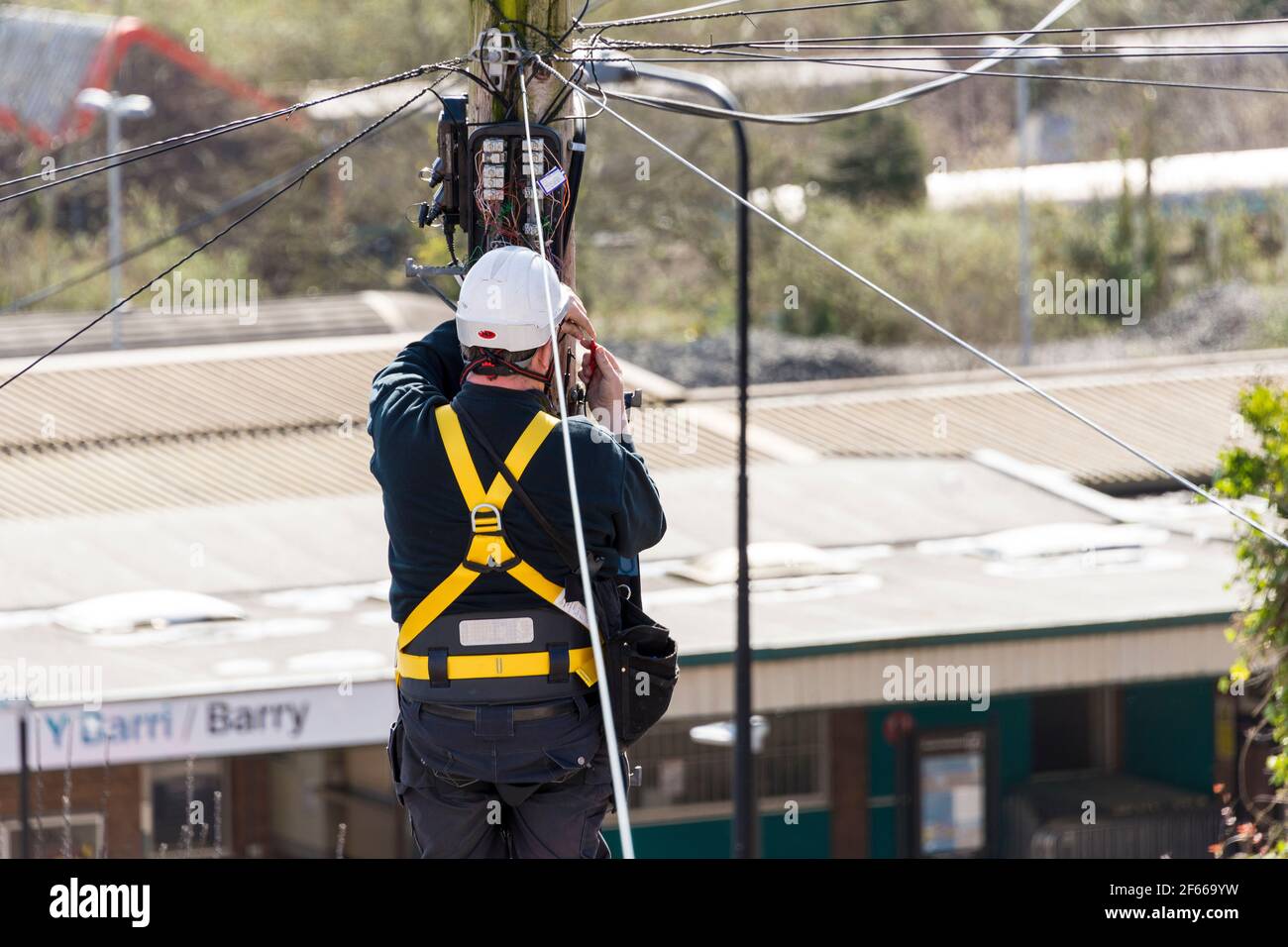 Ein Telefoningenieur, der auf einer Leiter steht, die oben an einem Telegrafenmast arbeitet. Es ist ein sonniger Tag und hinter ihm treten Dächer in die Ferne zurück. Stockfoto