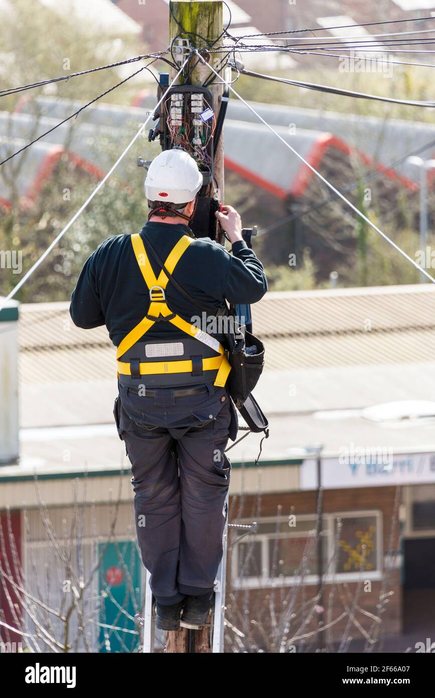 Ein Telefoningenieur, der auf einer Leiter steht, die oben an einem Telegrafenmast arbeitet. Es ist ein sonniger Tag und hinter ihm treten Dächer in die Ferne zurück. Stockfoto