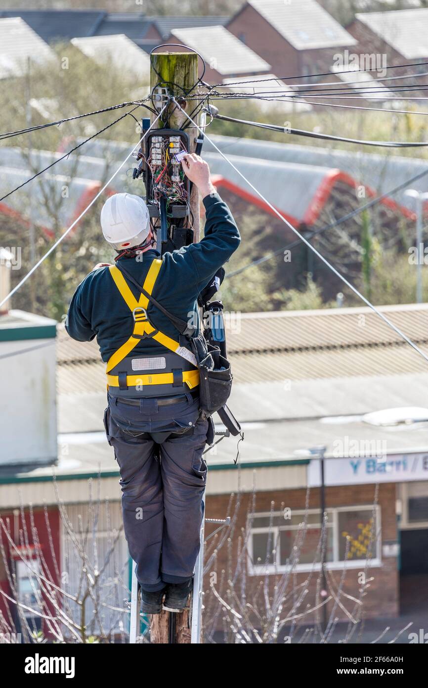 Ein Telefoningenieur, der auf einer Leiter steht, die oben an einem Telegrafenmast arbeitet. Es ist ein sonniger Tag und hinter ihm treten Dächer in die Ferne zurück. Stockfoto