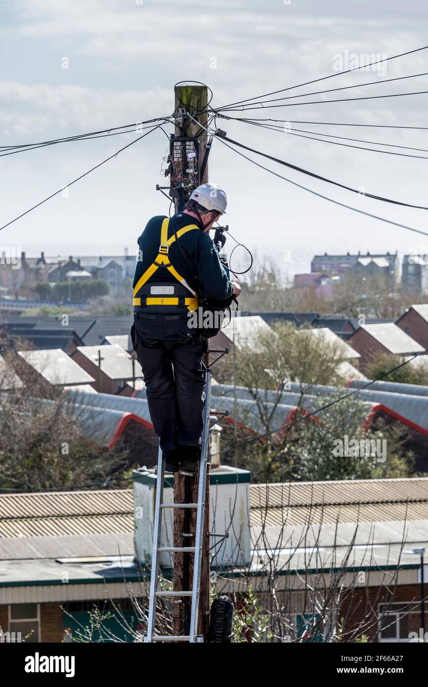 Ein Telefoningenieur, der auf einer Leiter steht, die oben an einem Telegrafenmast arbeitet. Es ist ein sonniger Tag und hinter ihm treten Dächer in die Ferne zurück. Stockfoto
