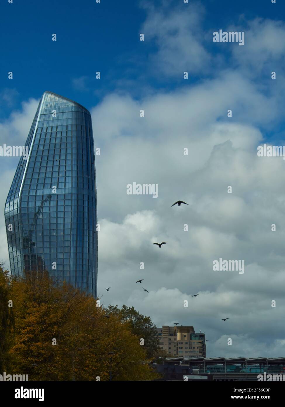 Eine silhouettierte Vogelschar, die in einem wolkenbewachsenen Himmel über Londons South Bank fliegt, mit herbstlichen Bäumen im Vordergrund und einem Wolkenkratzer im Hintergrund. Stockfoto