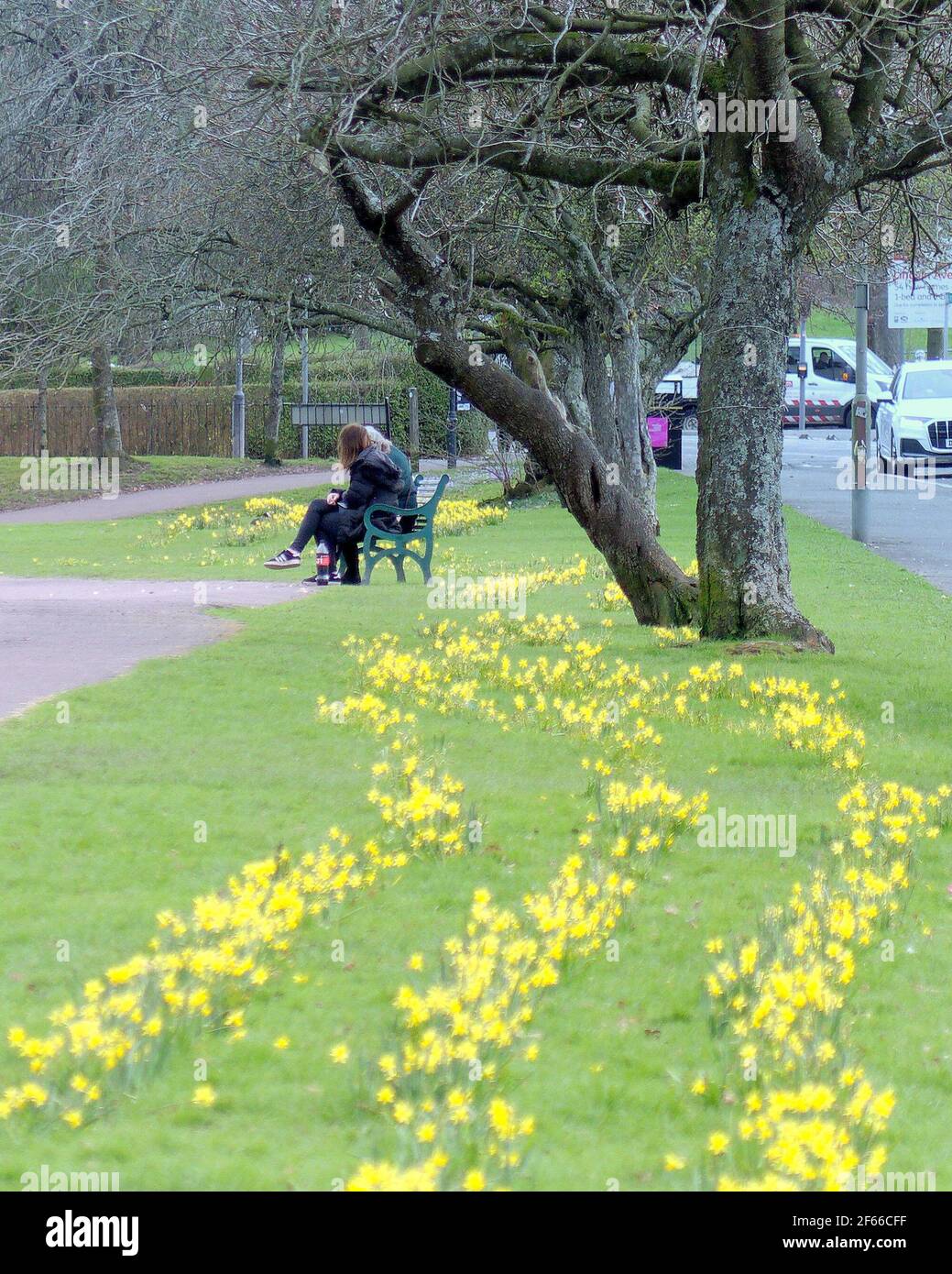 Glasgow, Schottland, Großbritannien. März 2021, 30th. UK Wetter: Frühlingswetter mit Apfelblüten. Quelle: gerard Ferry/Alamy Live News Stockfoto