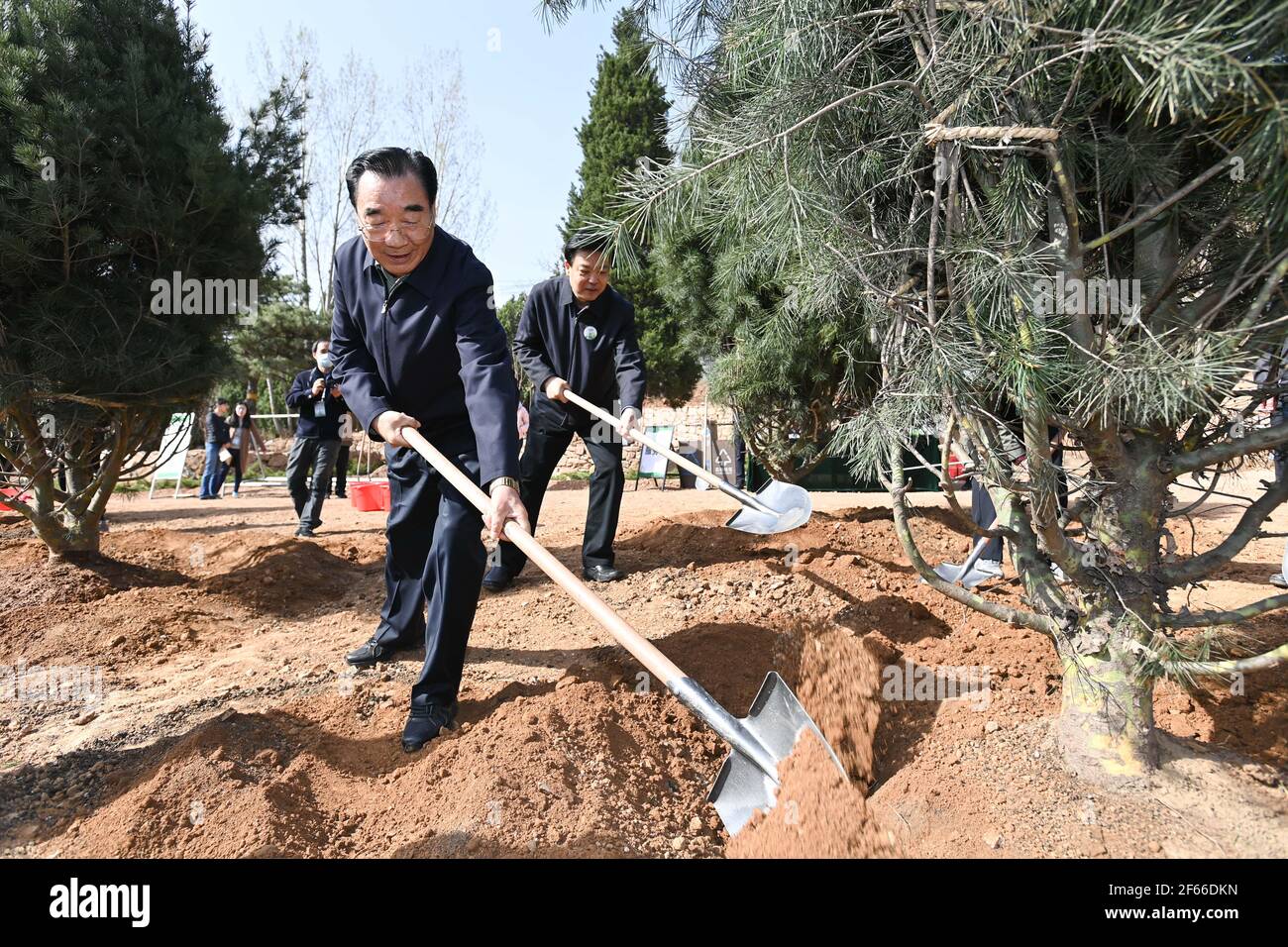 PEKING, 30. März 2021 (Xinhua) -- Zhang Qingli, stellvertretender Vorsitzender des Nationalkomitees der Politischen Konsultativkonferenz des chinesischen Volkes (CPPCC), pflanzt während einer freiwilligen Baumbepflanzung im Xishan National Forest Park im Bezirk Haidian in Peking, der Hauptstadt Chinas, am 30. März 2021 einen Baum. Chinesische politische Berater nahmen am Dienstag an einer freiwilligen Baumbepflanzung in Peking Teil. ew Kredit: Xinhua/Alamy Live News Stockfoto