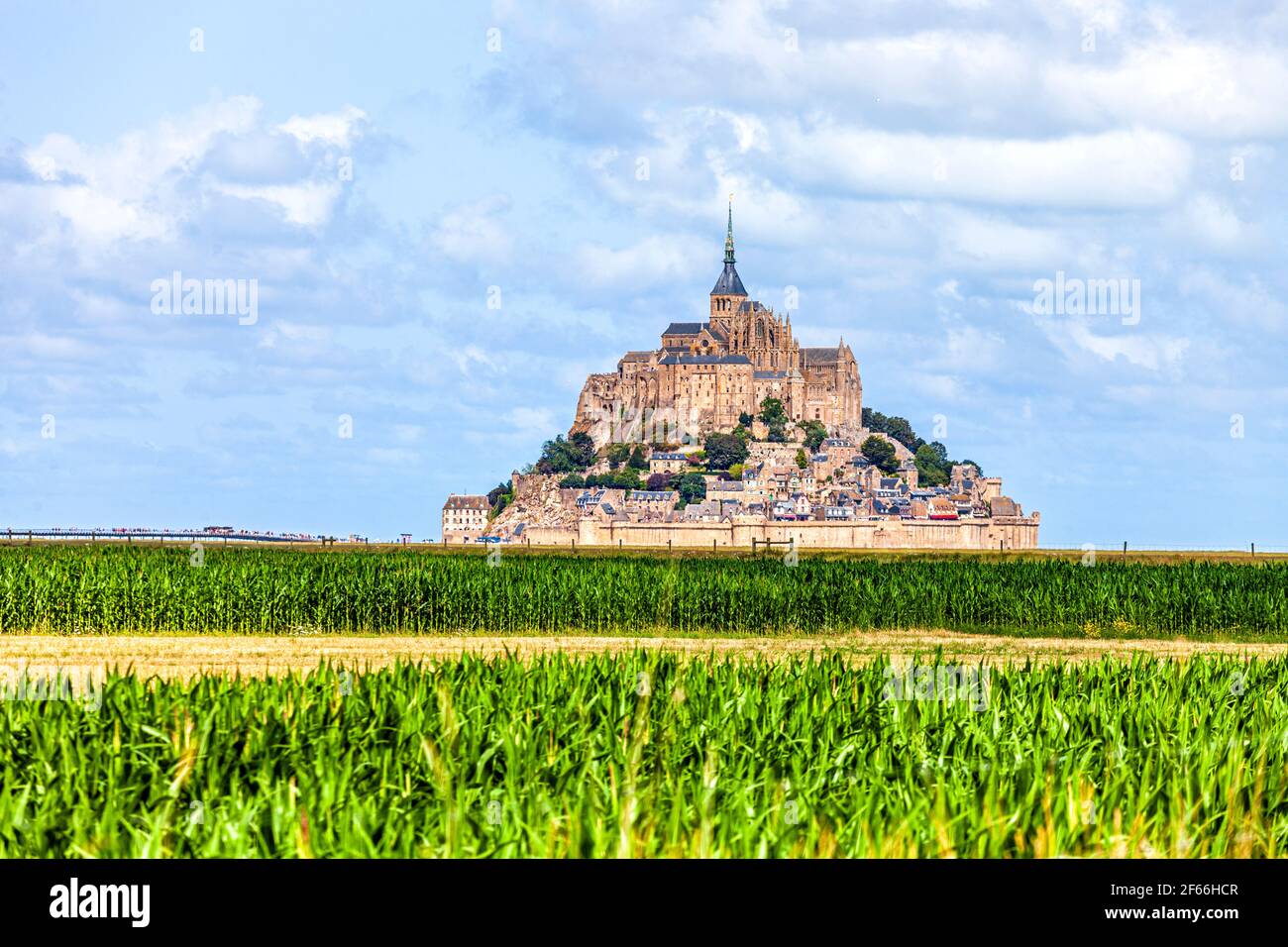 Blick auf die berühmte historische Gezeiteninsel Le Mont Saint-Michel mit Grüne Maisfelder vor Stockfoto